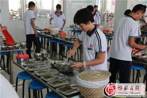 店子镇中学荣获“食安山东”餐饮服务示范单位称号