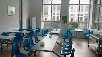 增强食品安全意识树立餐饮行业典型，桐溪幼儿园入列A级餐饮服务单位